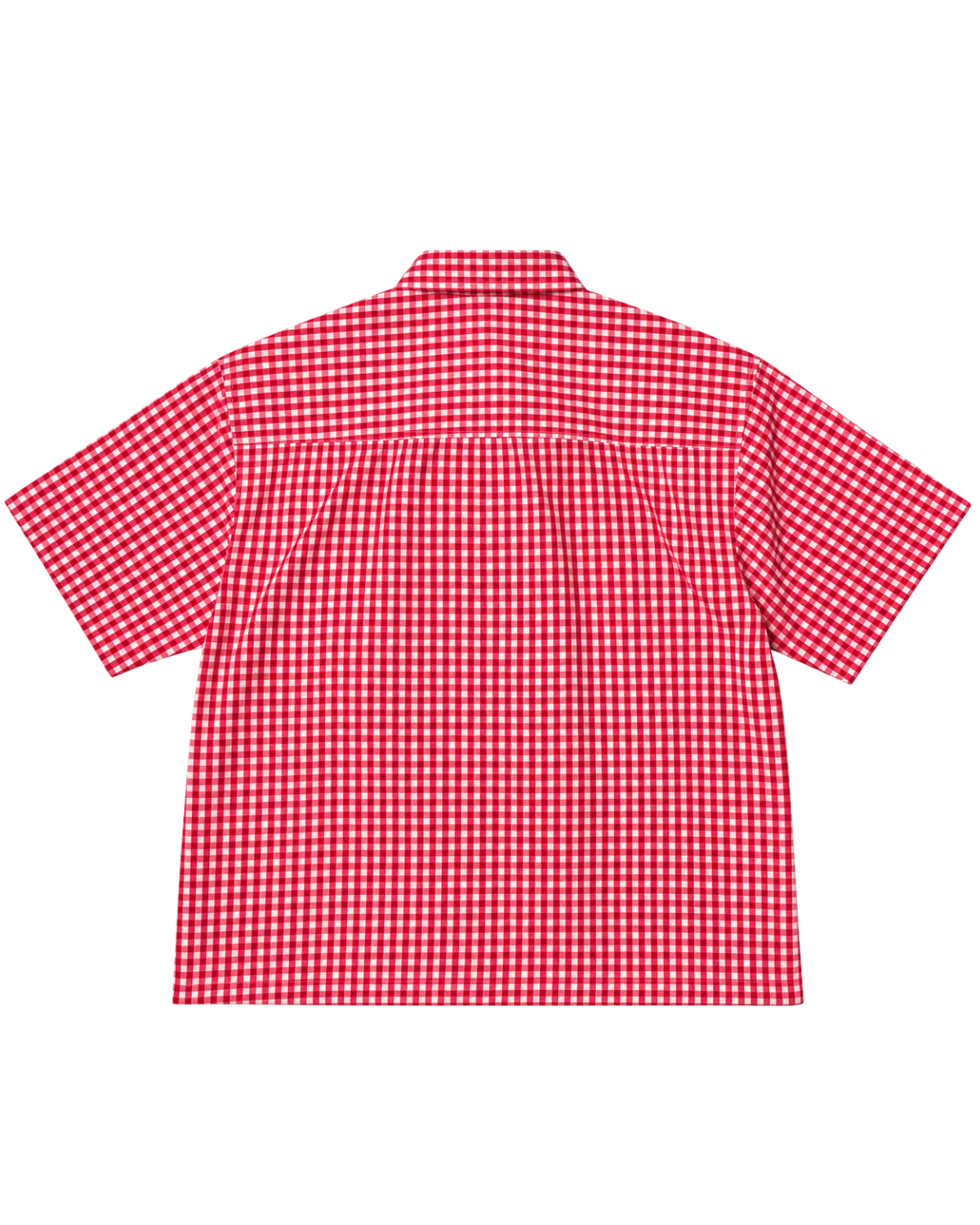 Privilege Shirt